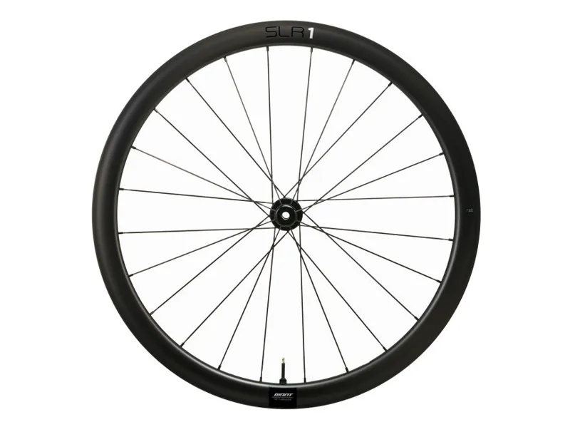 Giant SLR 1 42 Disc Carbon Front Road Wheel - Black