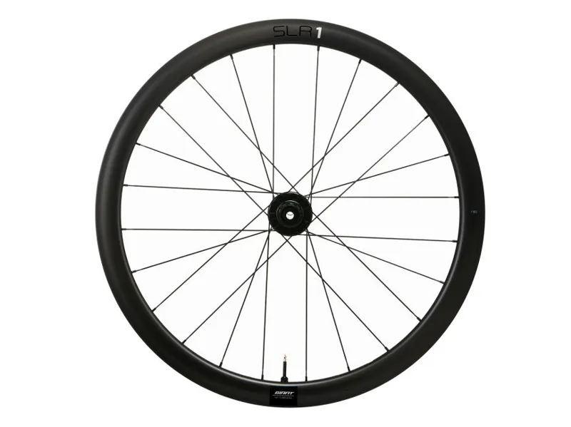 Giant SLR 1 42 Disc Carbon Rear Road Wheel - Black