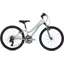 Ridgeback Destiny 24 Inch 2025 Kids Bike -  Silver