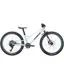 Trek Wahoo 24 Trail 2025 Junior Mountain Bike - Plasma Grey Pearl