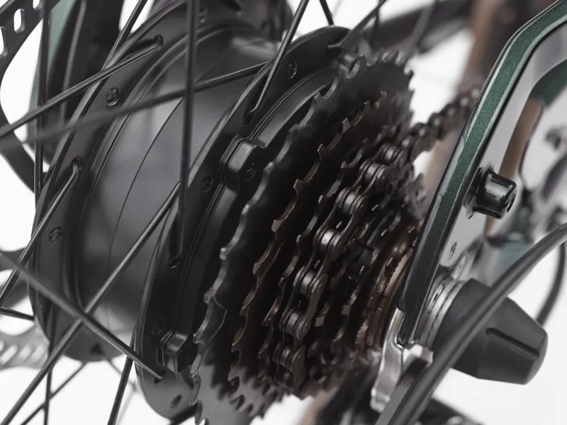 Electra Townie Go 7d EQ Step Over 2024 Electric Hybrid Bike - Evergreen-5