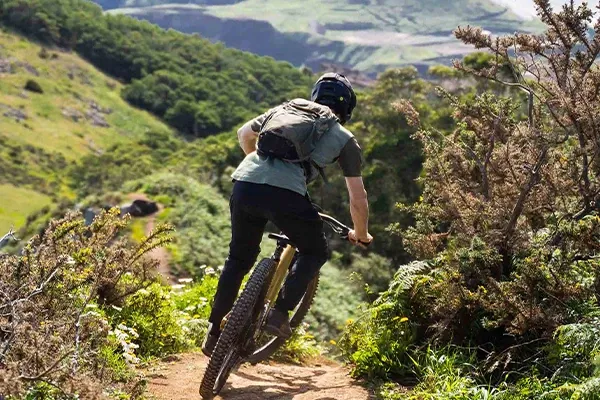 Mountain bike bags
