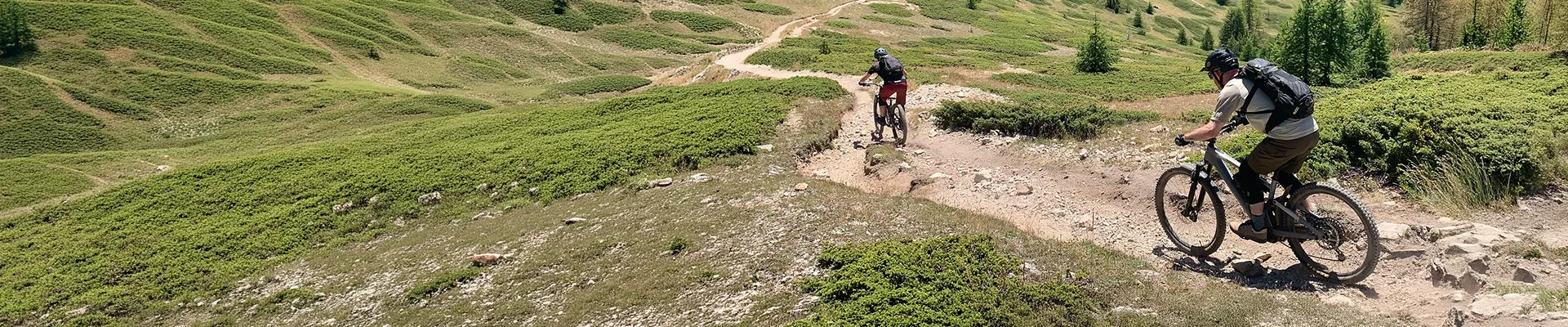 Cycling bags and luggage including backpacks, panniers and bikepacking gear