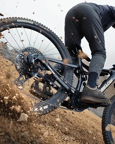 Amflow PL suspension and frame detail