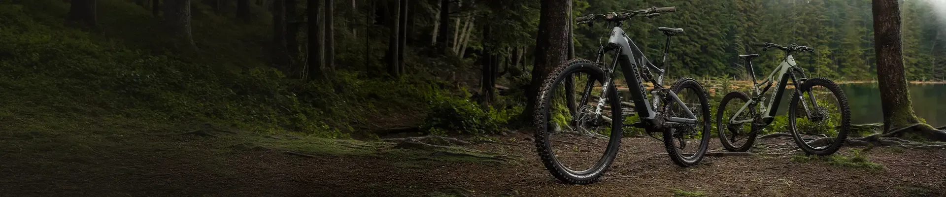 Amflow PR electric mountain bike on a mountain trail