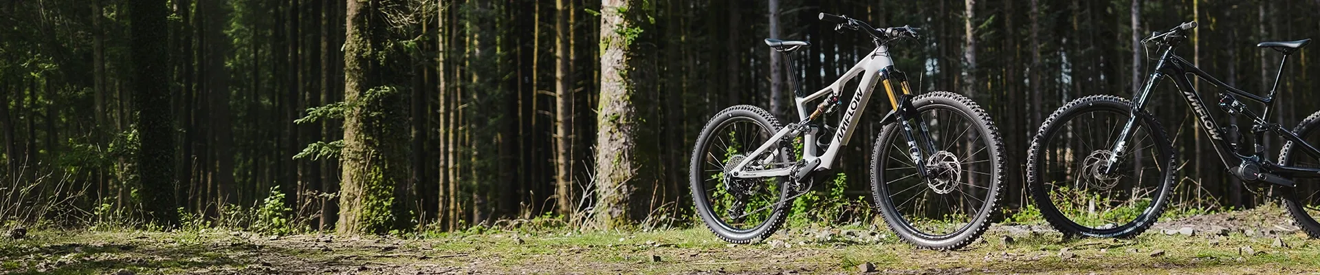 Amflow PX Carbon and PX Carbon Pro electric mountain bikes in the woods