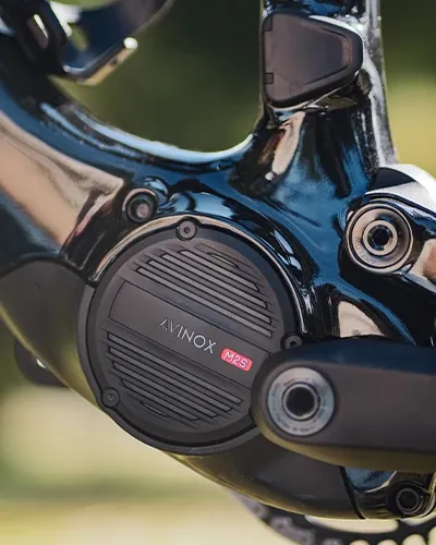 Amflow PX Avinox M2S motor and frame detail