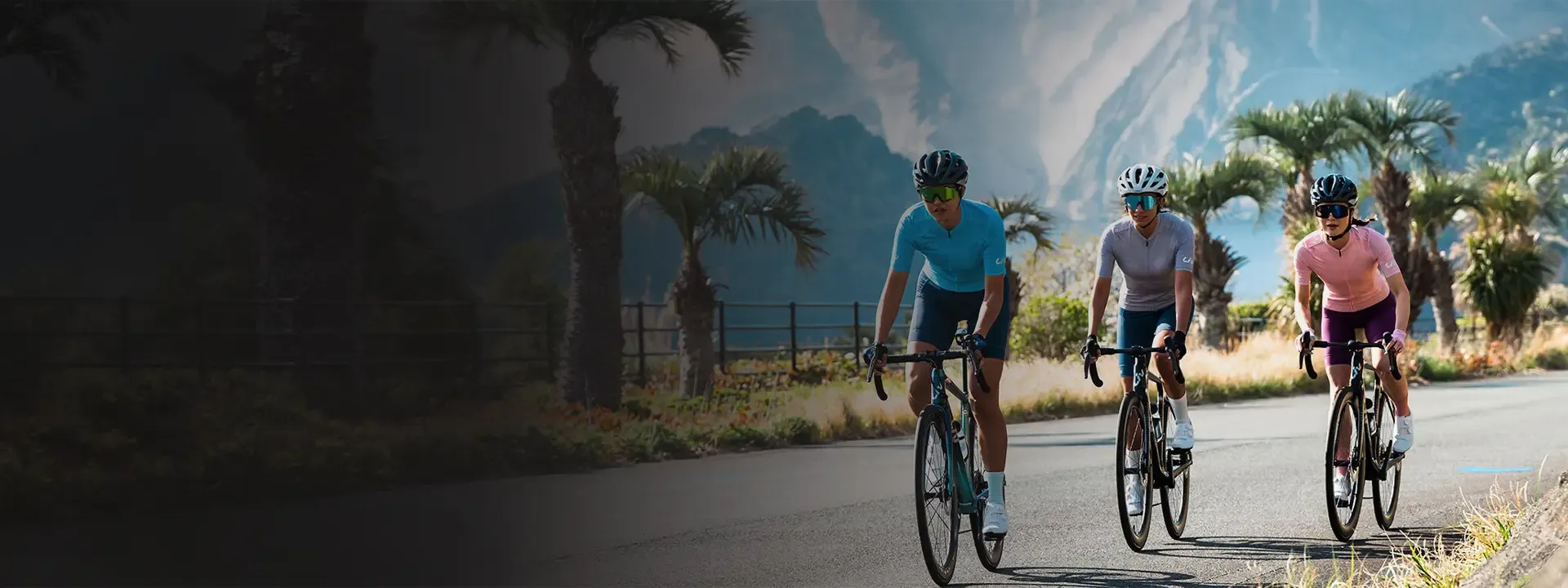Three women road cyclists riding together on a sunny palm-lined road