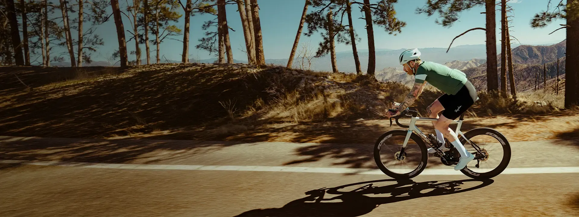 Road cyclist riding quickly along a sunlit mountain road through woodland