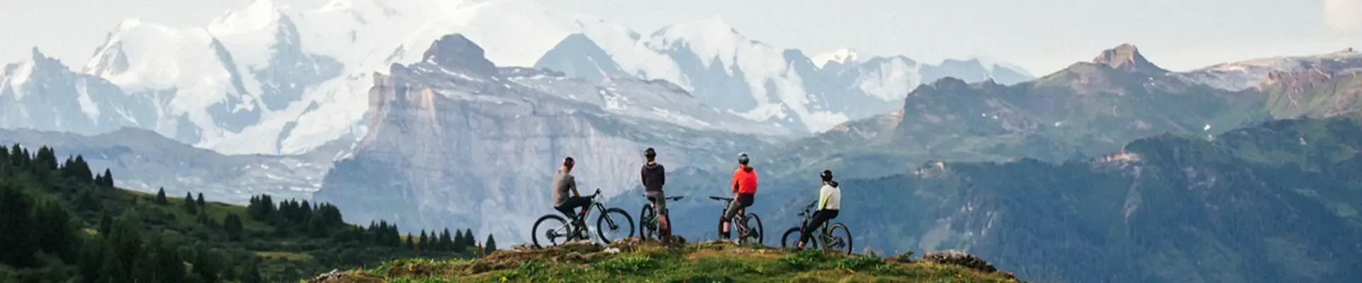 Mountain bikers overlooking an alpine valley