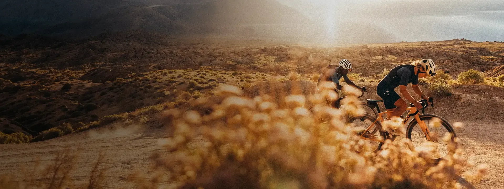 Two cyclists riding across open moorland in warm evening light