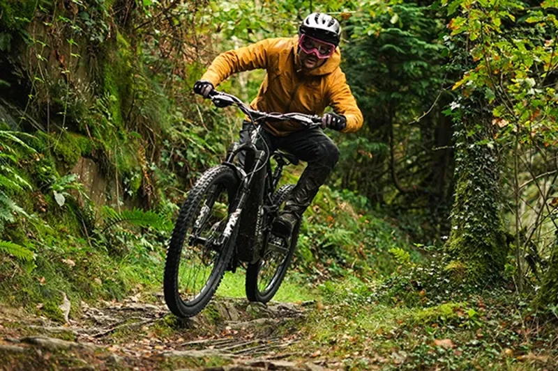 Riding a Specialized Levo 4 on a rooty trail