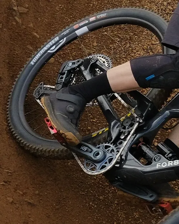 Forbidden Druid frame and high-pivot suspension layout