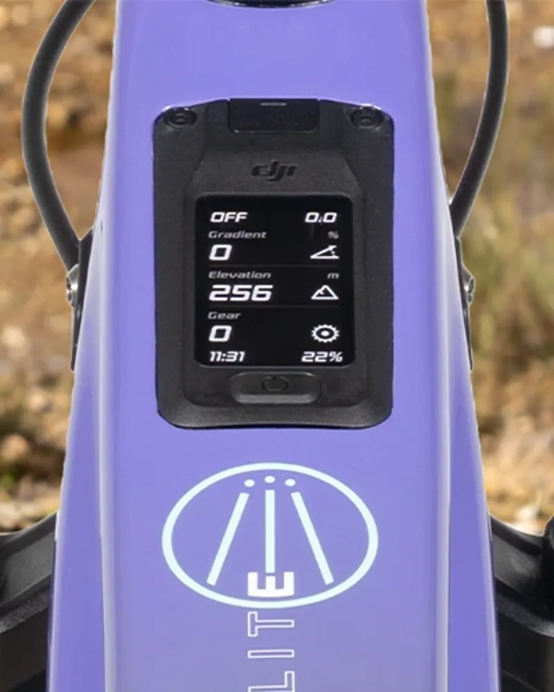 Avinox display on Forbidden Druid CorE