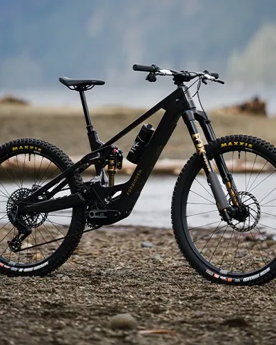 Forbidden Druid E complete bike side profile