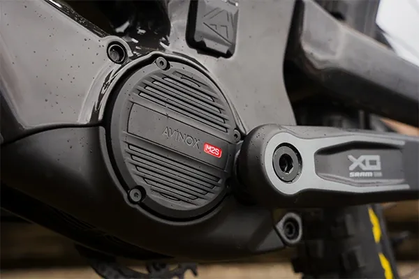 Forbidden Druid E high-pivot frame and Avinox M2S drive system detail