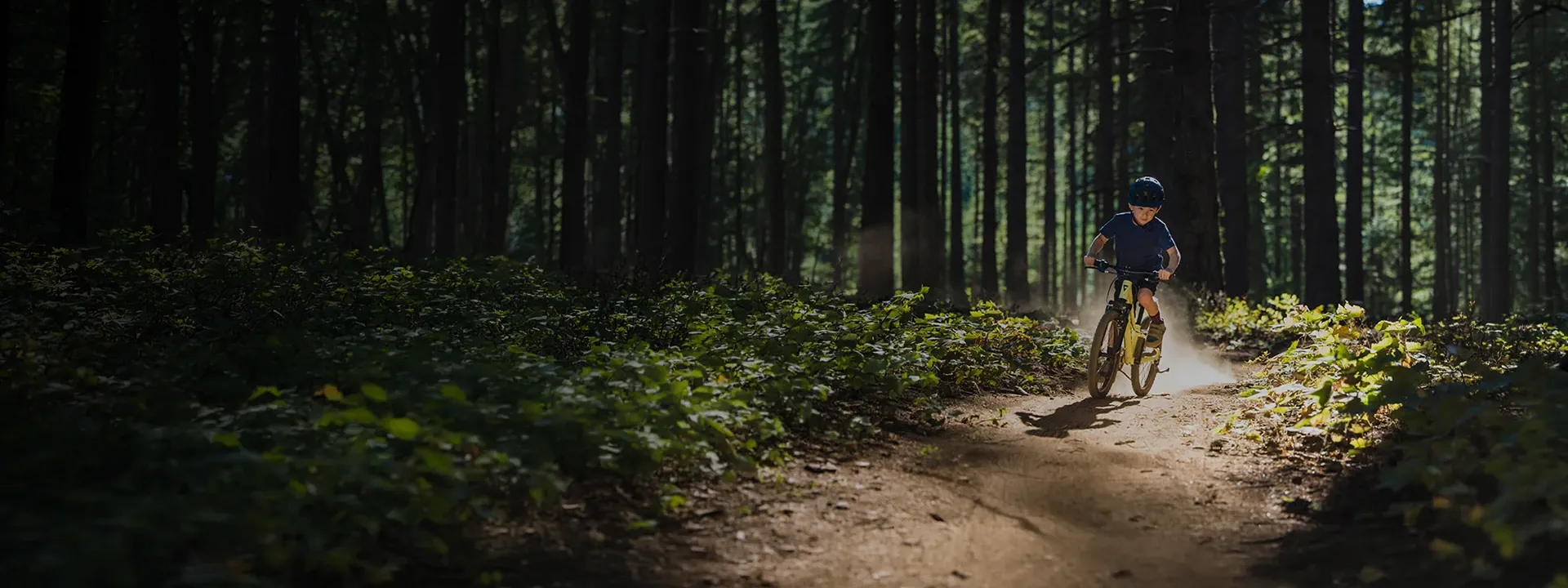 Giant kids bikes for young riders and everyday cycling