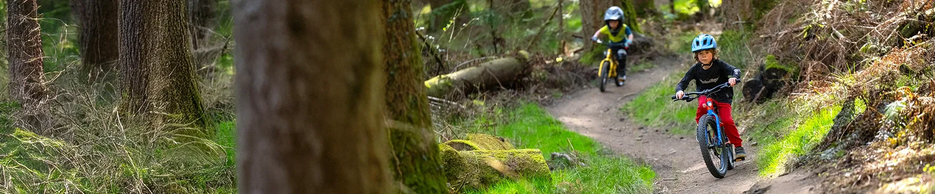 Two kids riding Marin bikes on a singletrack trail in the woods