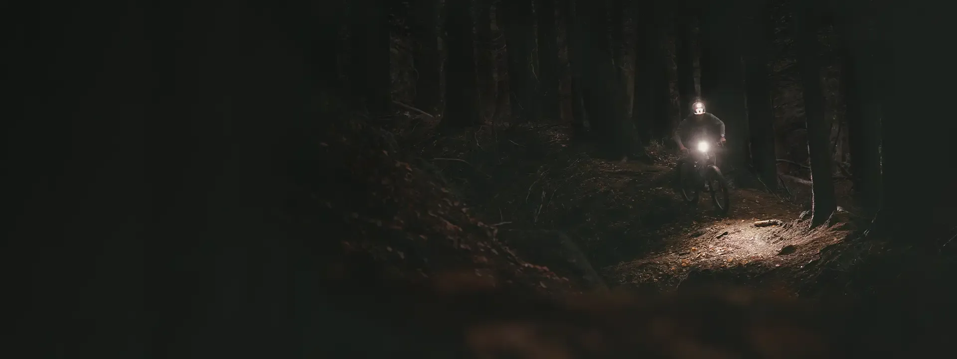 Mountain biker using a front light to illuminate a woodland trail at night