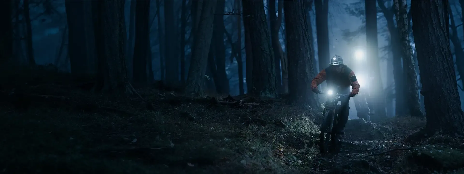 Mountain bikers riding through a dark forest with bike lights illuminating the trail