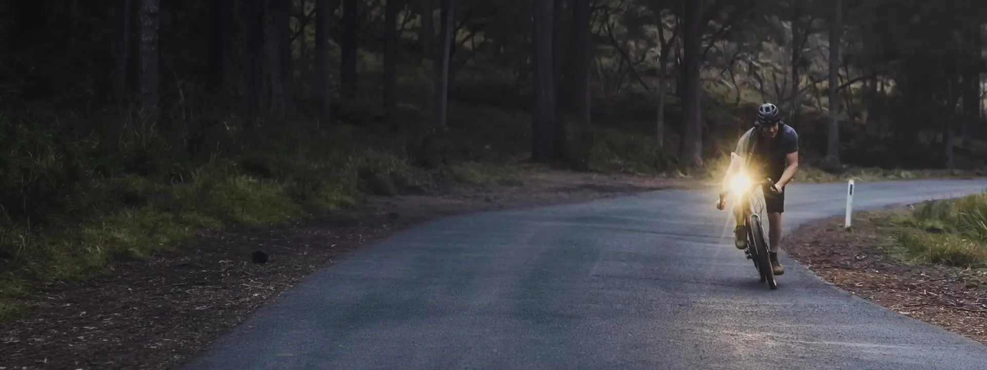 Road cyclist approaching a bend on a tree-lined road with a front bike light illuminated
