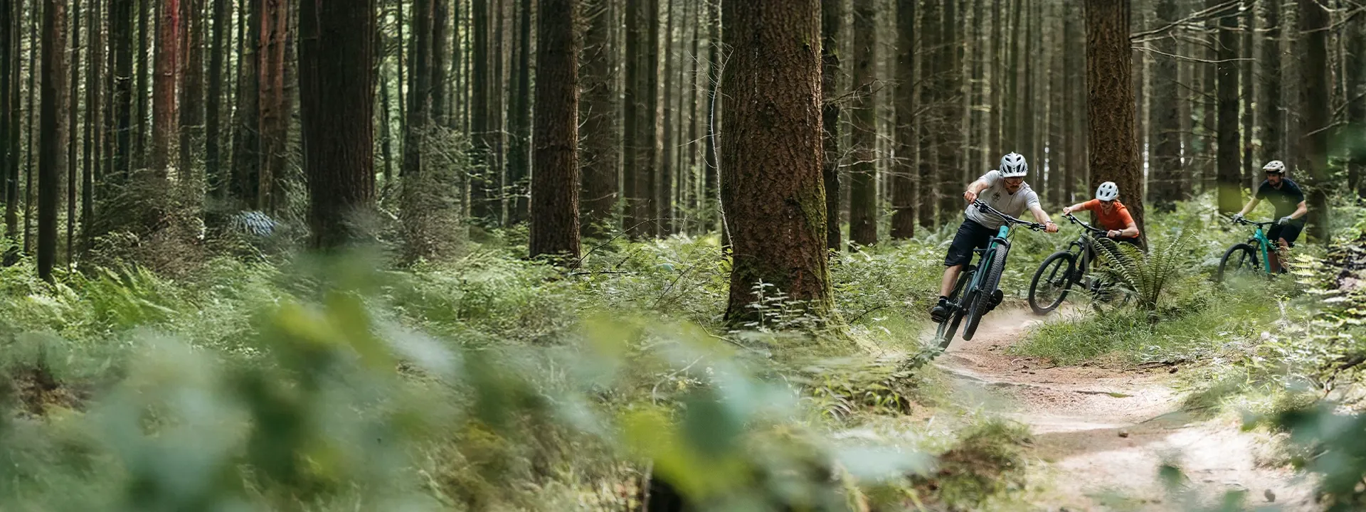 29-inch mountain bike riding technical singletrack