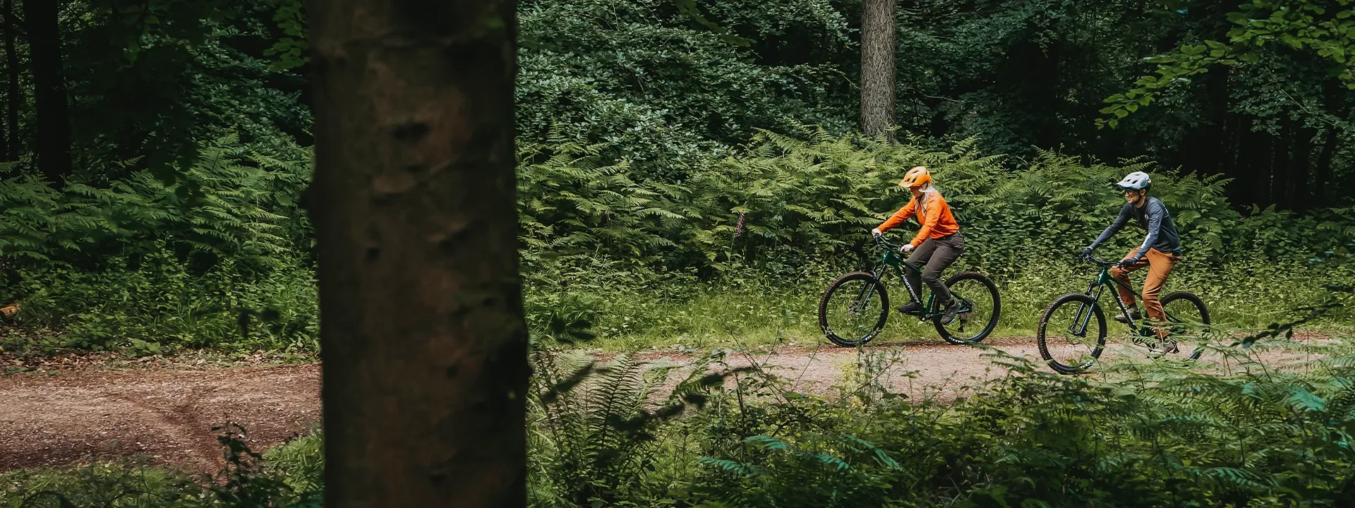 Hardtail mountain bike on a woodland trail