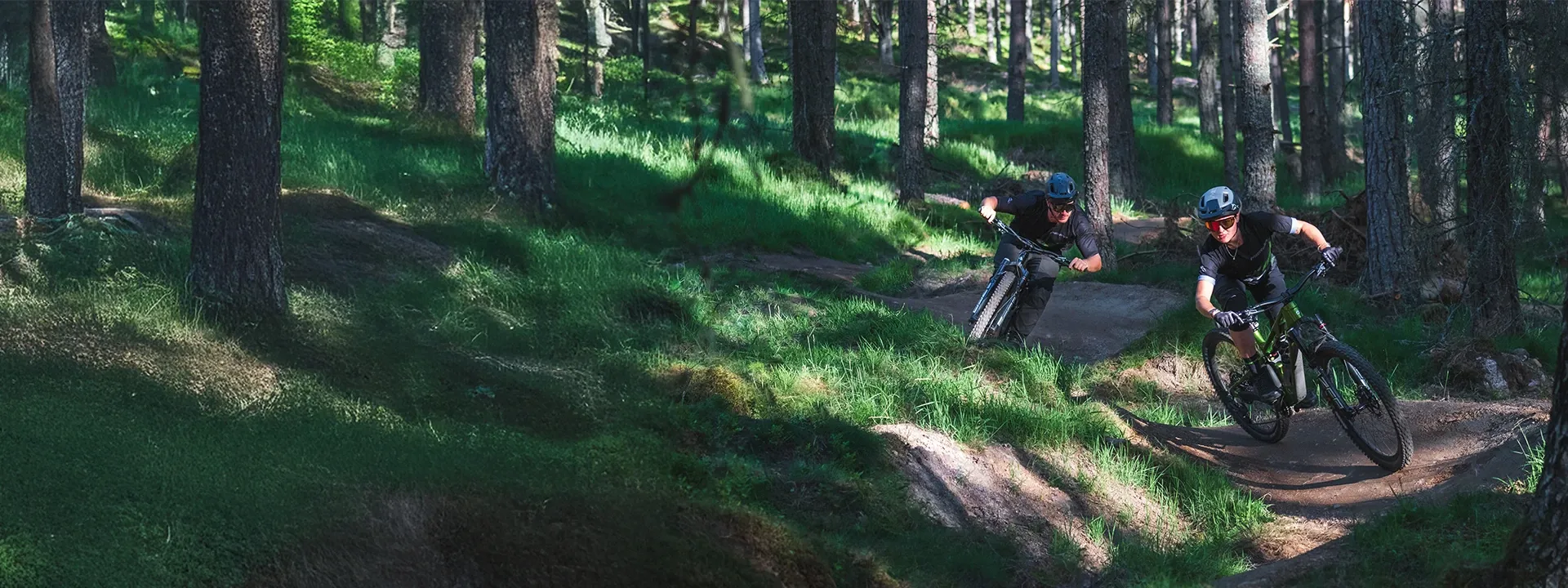 Trail mountain bike on woodland singletrack