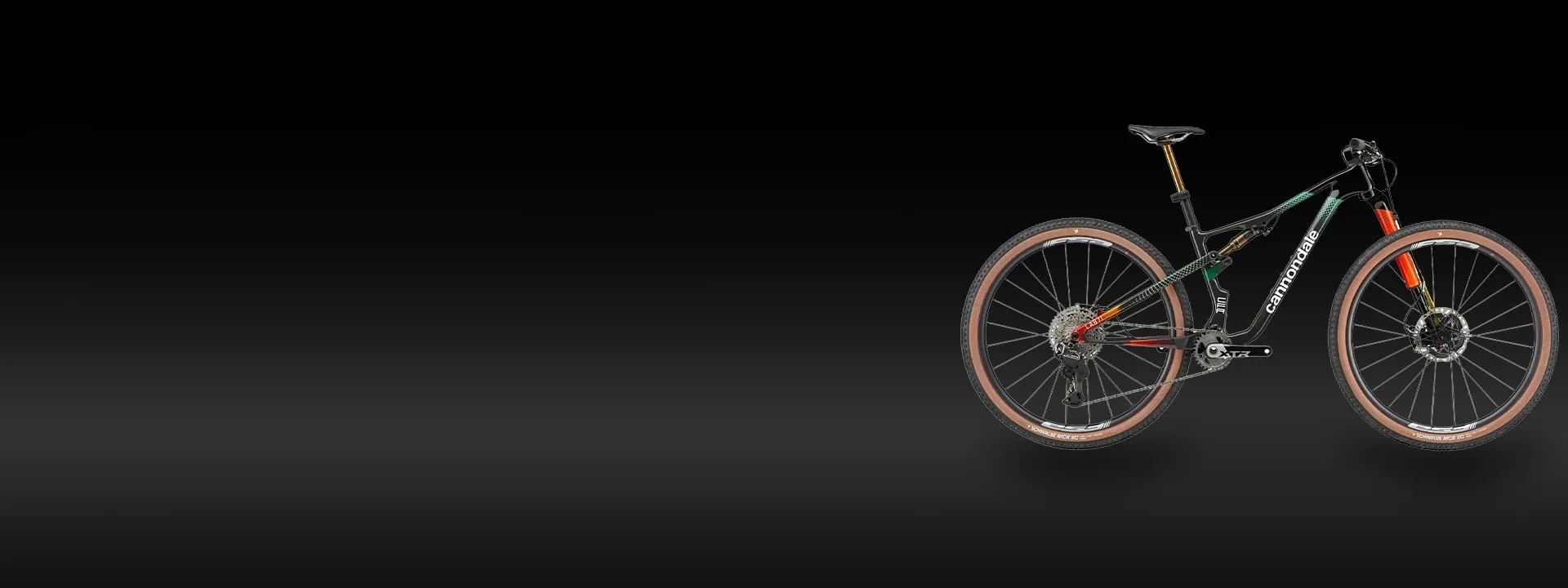 Cannondale mountain bike riding forest trail terrain