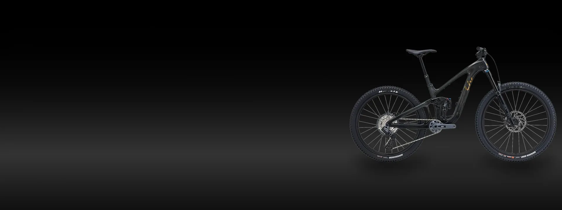 Liv women's mountain bike riding forest trail terrain