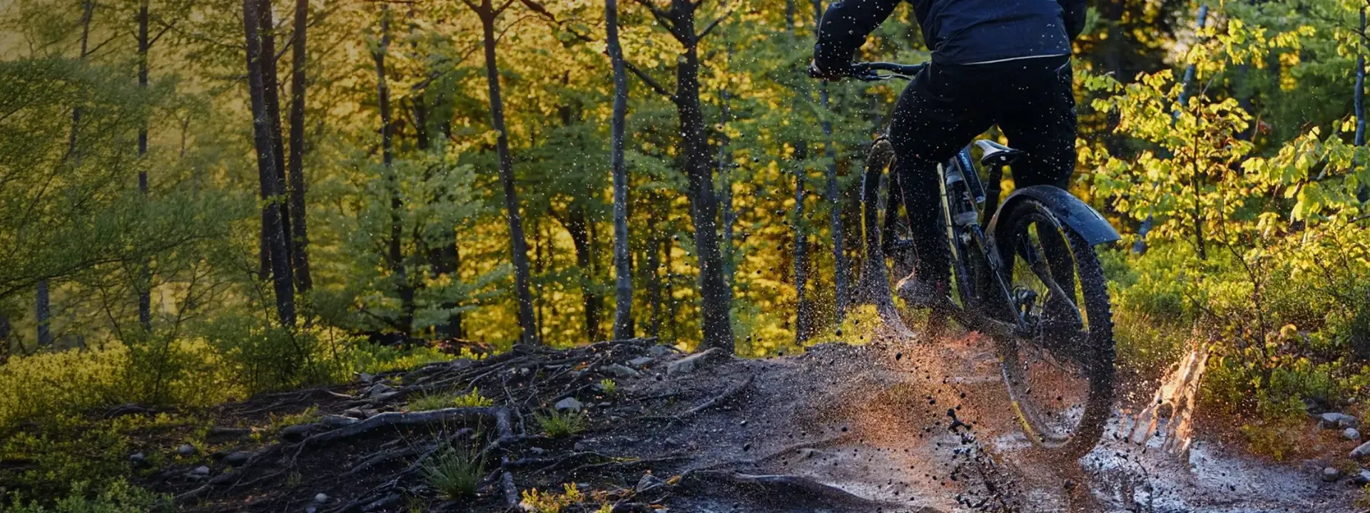 Mountain biker riding through wet woodland with a rear mudguard fitted
