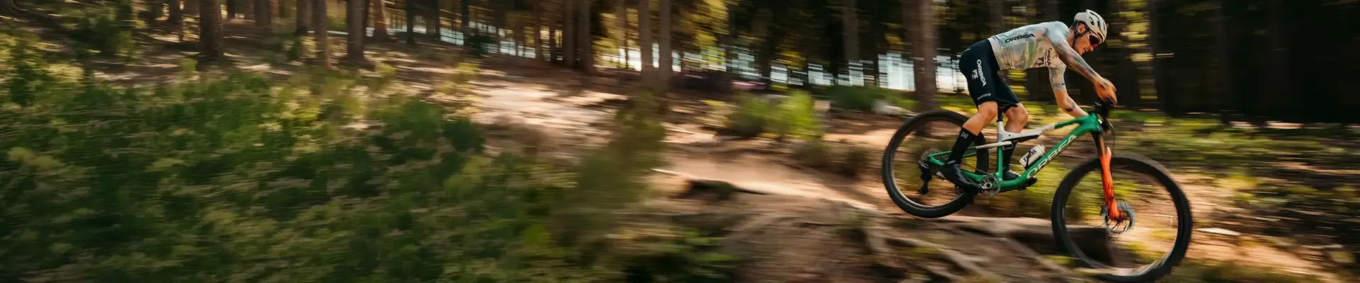 Rider on an Orbea Oiz crossing a sunlit woodland trail