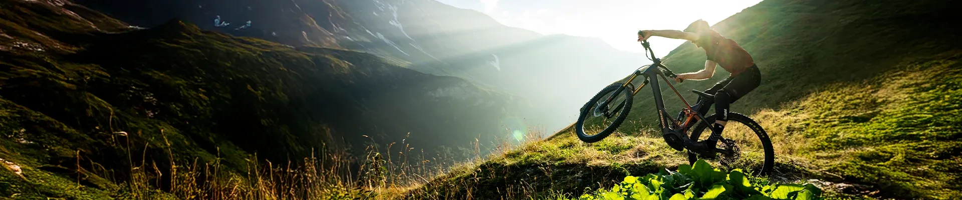 Orbea Wild electric mountain bike riding an alpine enduro trail