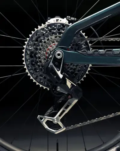 Orbea Wild LT rear wheel and drivetrain detail
