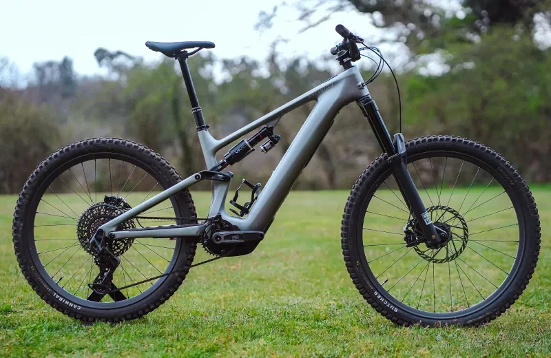 Specialized Levo Evo side profile