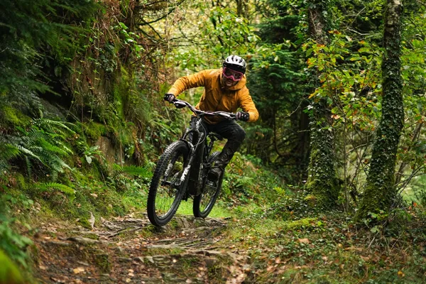 Specialized Turbo Levo e-MTB riding through roots
