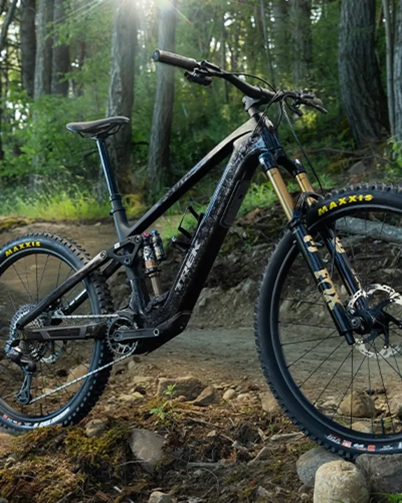 Trek Fuel+ MX frame detail