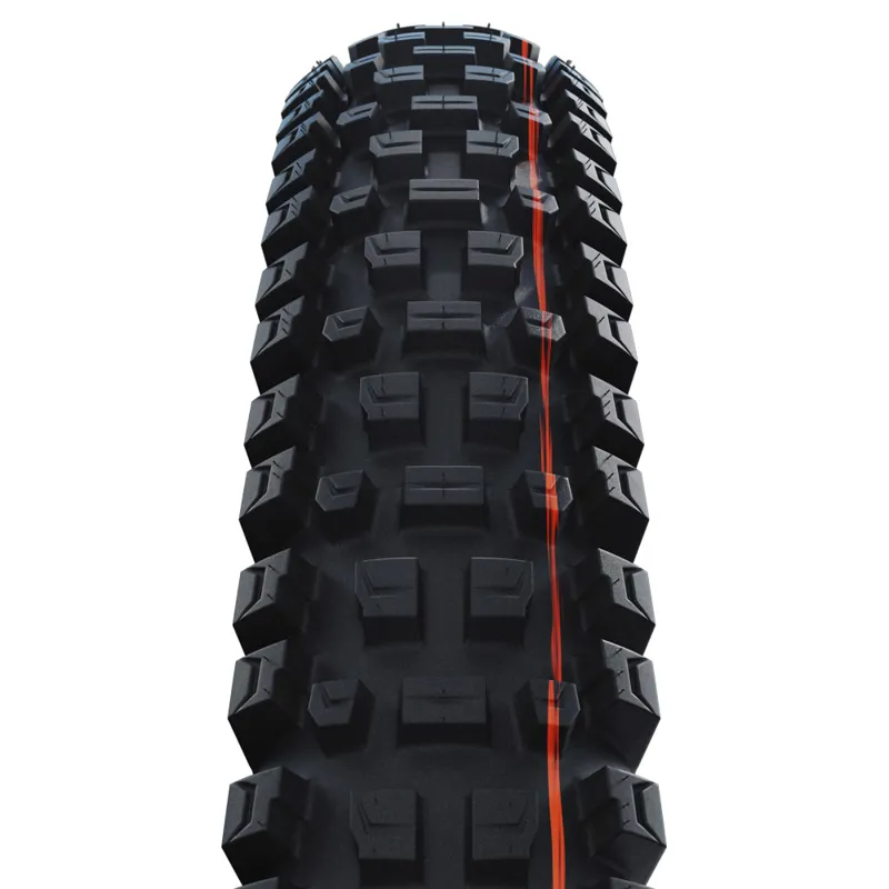 Schwalbe Albert Radial Gravity Pro Folding TLE 29er MTB Tyre-1