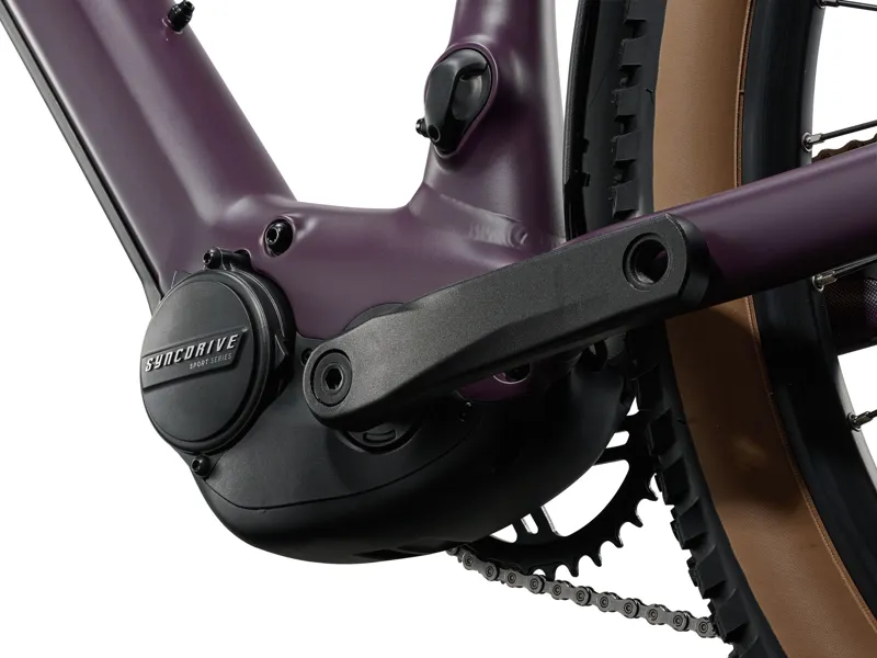Liv Tempt E+ 2 EX 2027 Women's Electric Hardtail MTB - Tyrian Purple-4