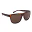 Oxford Sahara Sunglasses - Tortoise Shell Frame/Brown Lens