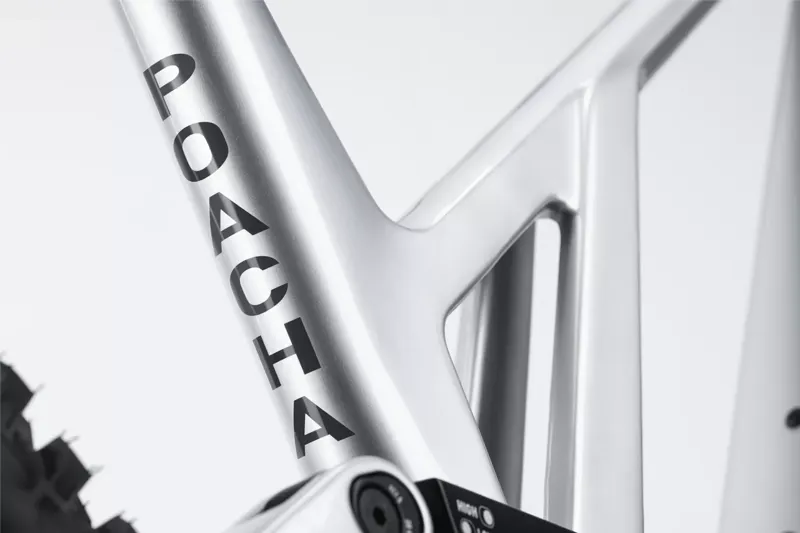 Ghost Poacha Full Party 2026 Carbon Full Suspension MTB - Grey Silver-5
