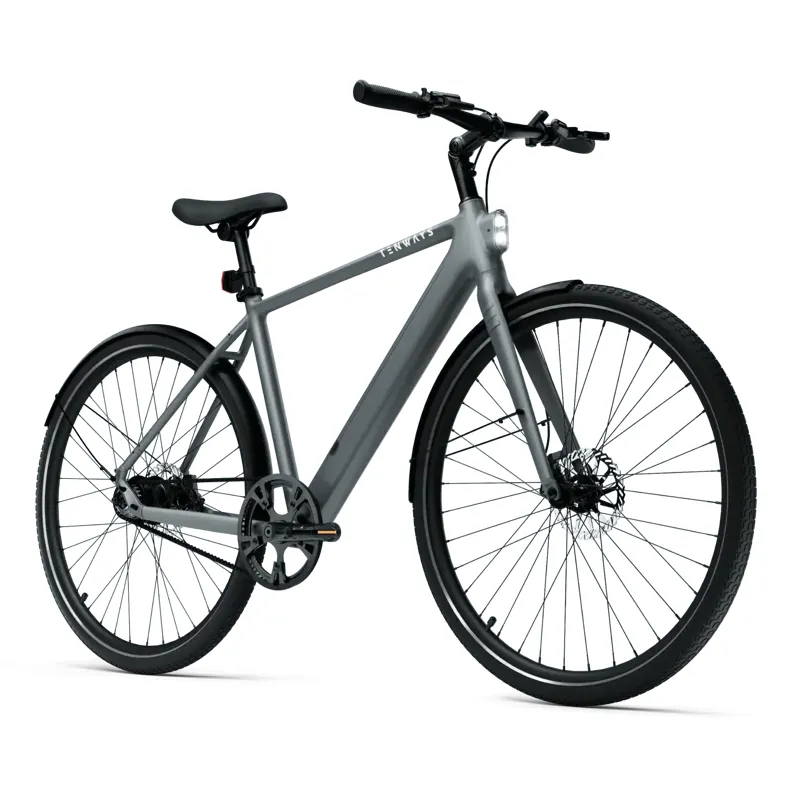 Tenways CGO600 Pro 2025 Electric Hybrid Bike - Pebble Grey-1