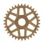 E-Thirteen Helix R E spec Direct Mount 11/12s DJI Avinox Chainring - Bronze