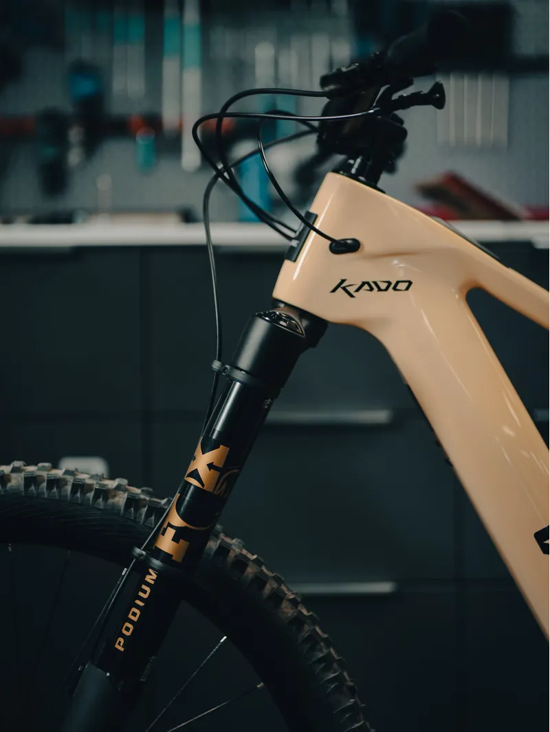 Fox Podium Factory 29 Grip X2 20TA110 Tapered MTB Fork - 44mm-10