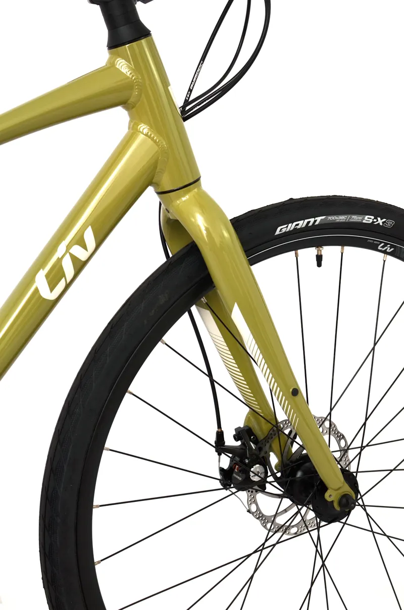 Ex Demo Liv Alight 3 DD Disc Women's Hybrid Bike - Small - Pistachio-3