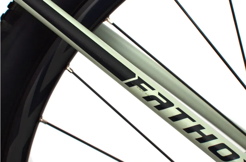 Ex Demo Giant Fathom E+ 2 29er Hardtail Electric Mountain Bike - Large - Desert Sage-9