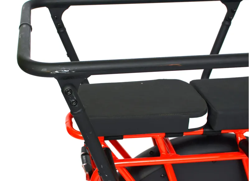 Ex Demo Cannondale Cargowagen Neo 1 Equipped With Surround Rails and Seat Pads-1