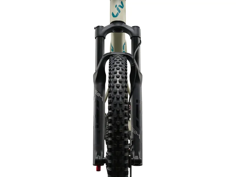 Liv Embolden 29er 2026 Women's Full Suspension MTB - Pale Moss-9