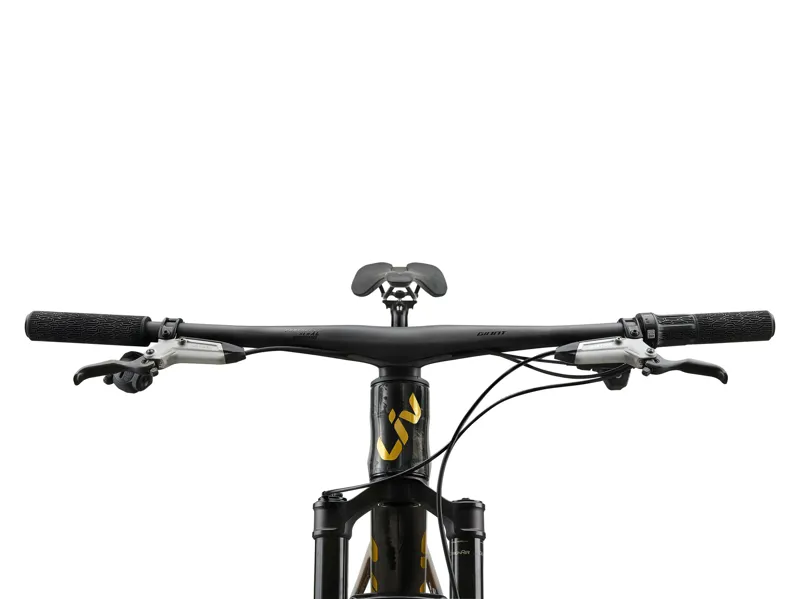 Liv Pique Advanced SL 0 29er 2026 Full Suspension MTB - Raw Carbon-11