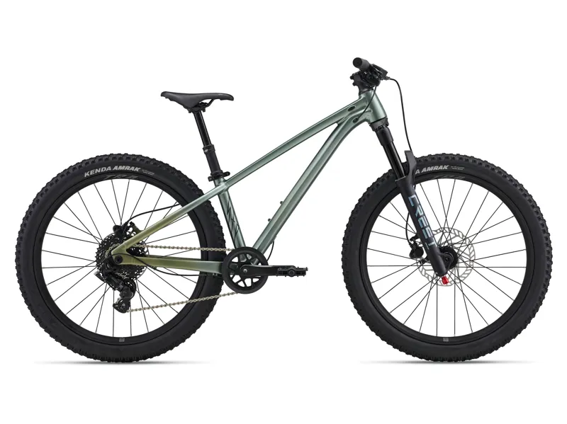 Liv STP 24w 2026 Kids Mountain Bike - Alpine Green